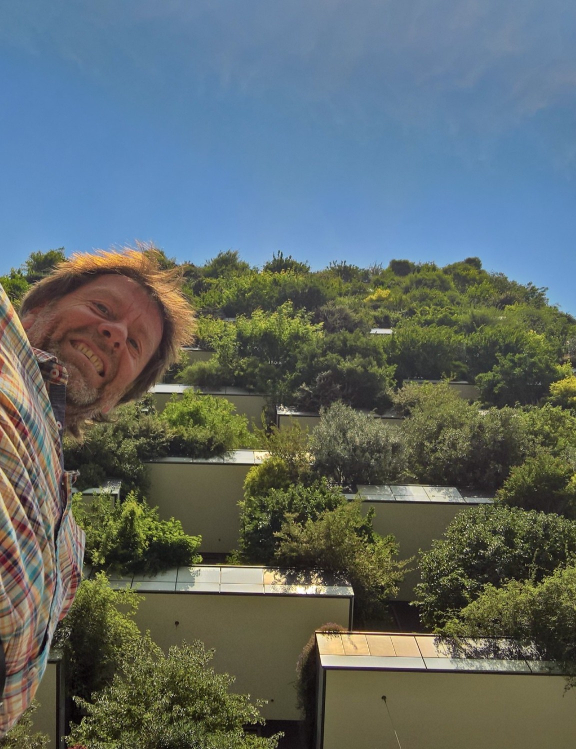 Vertical Tiny Forest